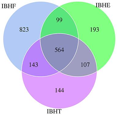 The Development of the Gut Microbiota and Short-Chain Fatty Acids of Layer Chickens in Different Growth Periods